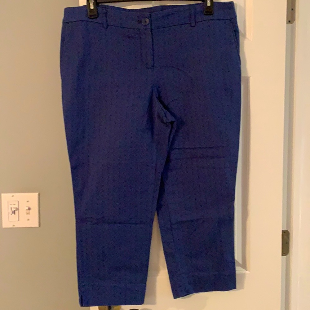Fun design Ankle pants!
